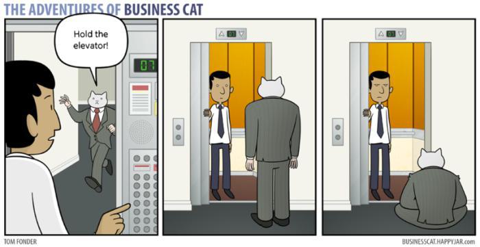 Durvīm ir jābūt atvērtām ... Autors: kucēntiņš Ja vēlies iegādāties kaķi - izlasi (kaķu saimnieki sapratīs)