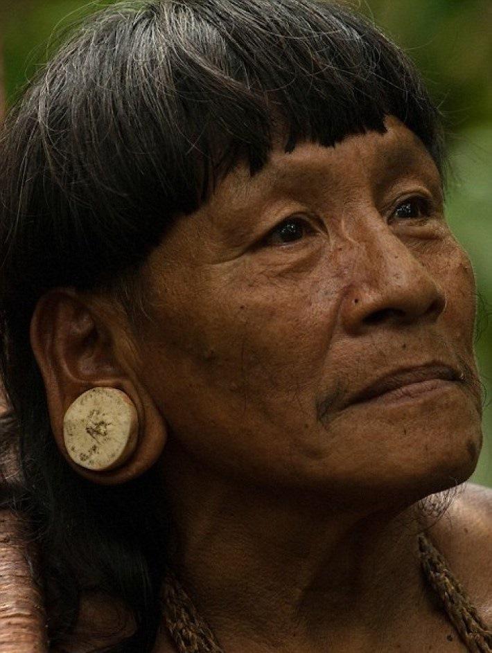  Autors: bebuljons Fotogrāfs 12 dienas pavadīja kopā ar kādas Amazones cilts mežoņiem.