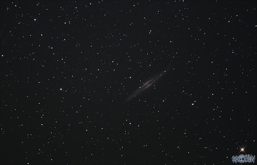 NGC891 feina galaktika citu... Autors: peleks Astrofotogrāfēšana 2