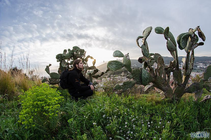 Es nekakāju kaktusos upset Autors: Eronymusdead 7 dienu piedzīvojumi Spānijā