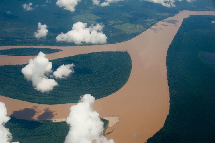 The Amazon BrazīlijaAmazone ir... Autors: princeSS Elpu aizraujoši meži,kuri izskatās kā no pasakas.