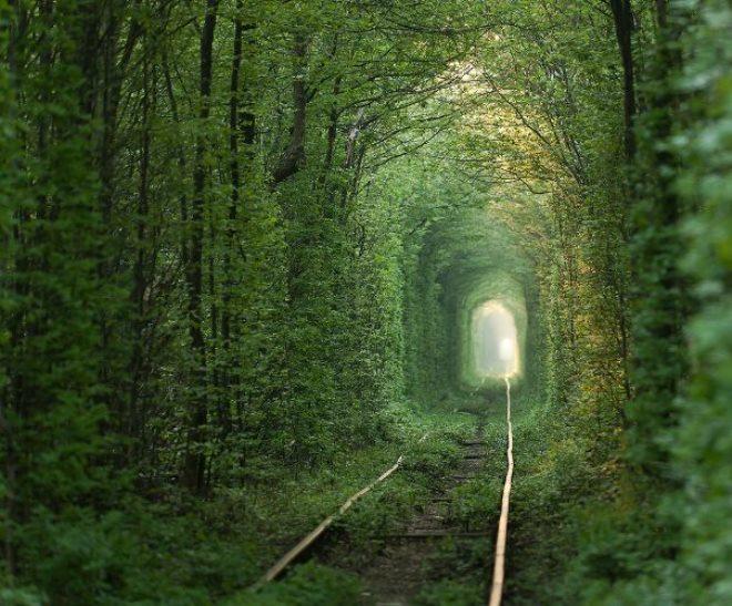 Mīlestības tunelis UkrainaTur... Autors: dzelz dzeks Skaistas vietas pasaulē 2. daļa!