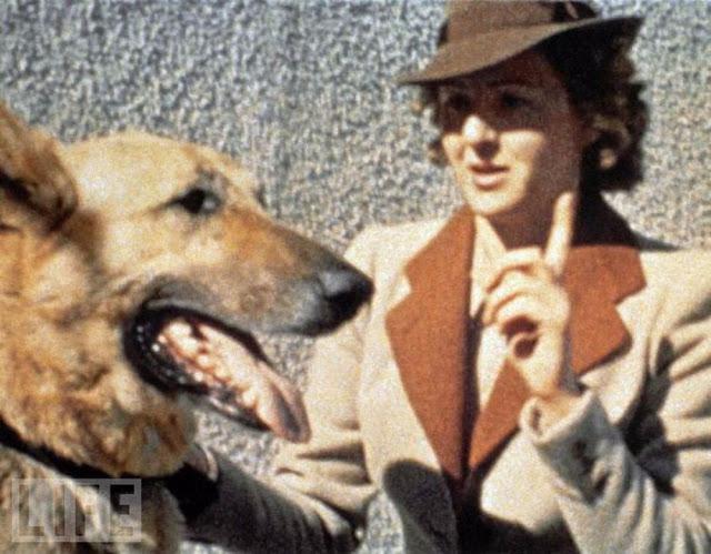 Eva ar Hitlera vācu... Autors: Lestets Eva Brauna - vēl neredzētas Hitlera sievas fotogrāfijas
