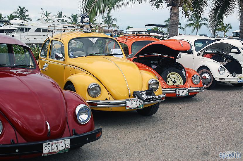  Autors: Alex Vikingo VW Salidojums Puerto Vallarta