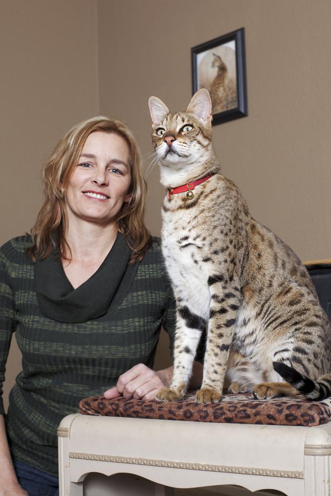 Garākais kaķis pasaulē... Autors: derpers1342 Top 10 dzīvnieki, par kuriem tu nedomātu, ka tādi pastāv
