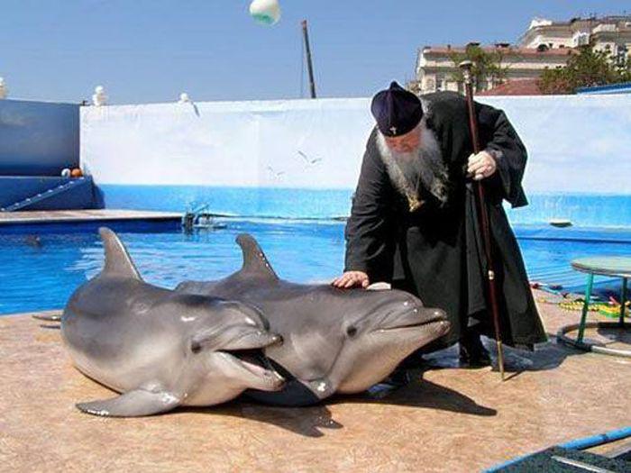 Es pielūdzu Jūs  delfīni Autors: Emchiks Iespējams tikai Krievijā 8