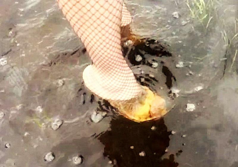  Autors: Fosilija Sveiciens "lietus sandalu" formātā no Krievijas - no Елена Прекрасная