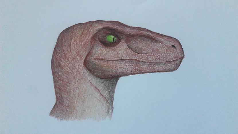 Velociraptor Autors: Fosilija Mani dino zīmējumi
