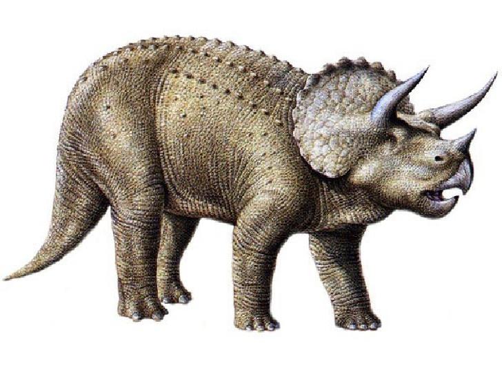 Scaronis ir triceratopss... Autors: MEAA...W ''Ilustrētie spoki''