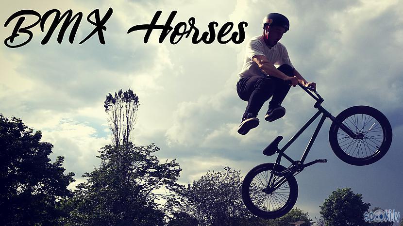  Autors: Orests Teclofs BMX Horses