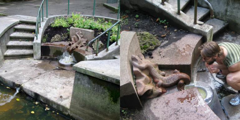 15 avoti Rīgas tuvumā, uz kuriem braukt pēc tīra ūdens! - Spoki