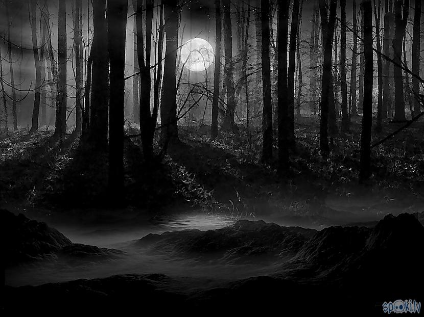  Autors: Spalvas tinte Šausmu stāsts: Tumšais mežs [1]