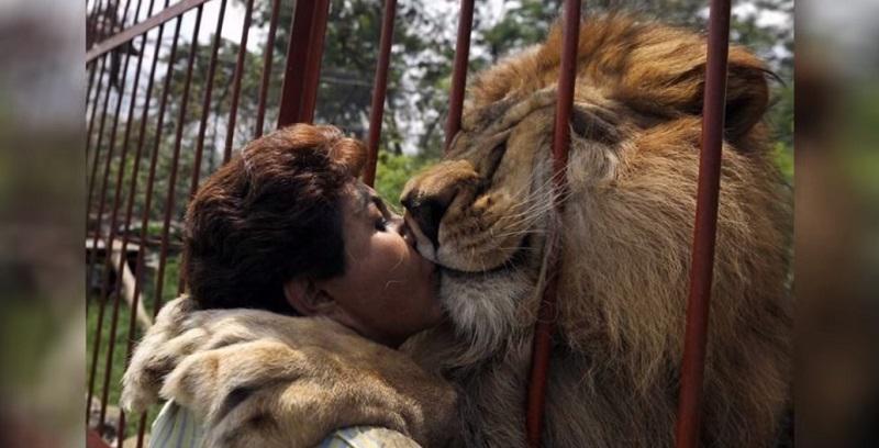 Draudzība starp lauvu... Autors: Lestets Sāpīgākie mirkļi fotogrāfijās