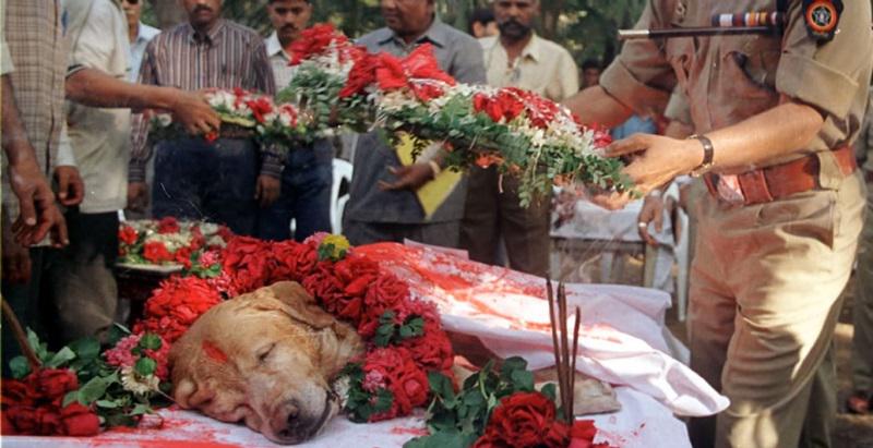 Suņa bēres Mumbajā Indijā... Autors: Lestets Sāpīgākie mirkļi fotogrāfijās