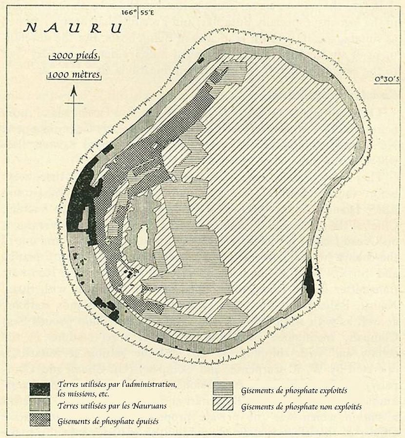 gadā japāņi okupēja sīko Nauru... Autors: MiaSanMia Japāņu zvērības Otrajā pasaules karā