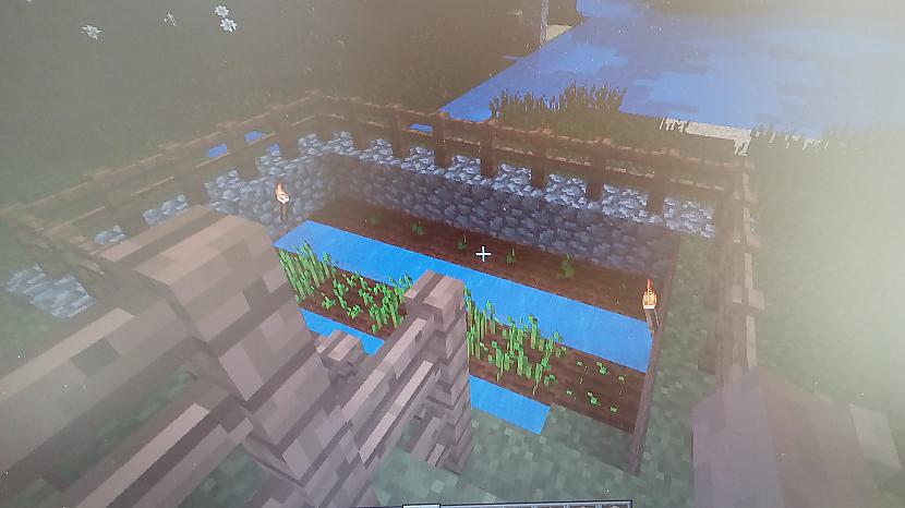 Mans pirmais dārzs Autors: Fosilija Minecraft pasaule