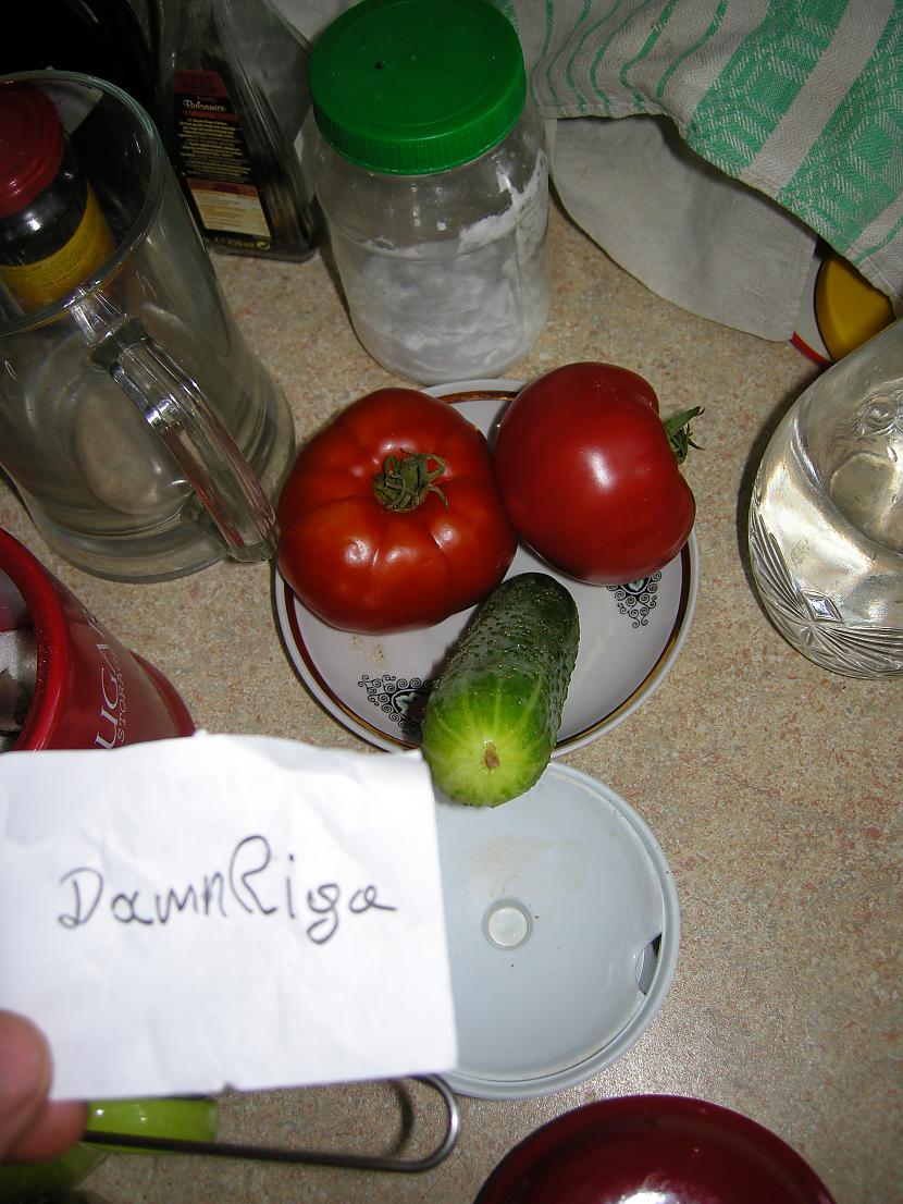  Autors: DamnRiga FS Baltais ar to tomātu un viņa draugu gurķi.