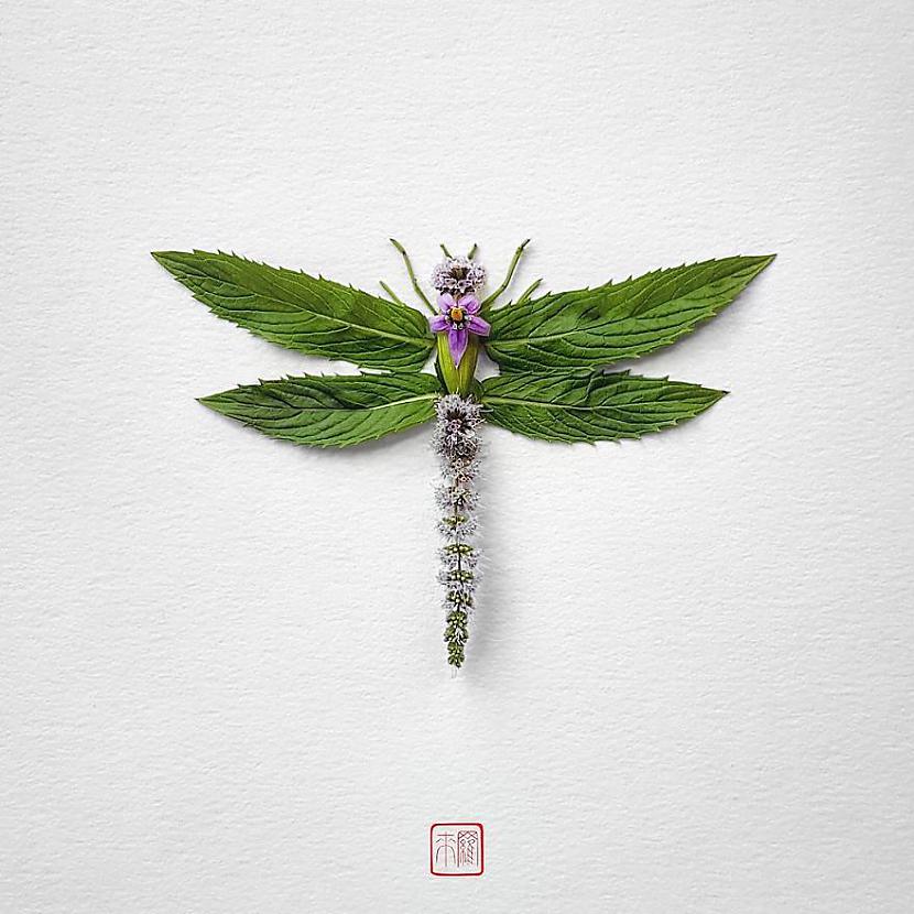  Autors: jaukumiņa No puķēm izveidoti kukaiņi.