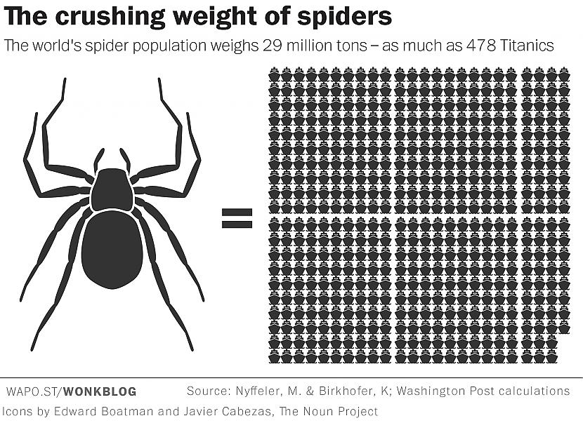 Ja tu sakopotu visus zirnekļus... Autors: Zirnrēklis Zirnekļi spētu apēst visus cilvēkus