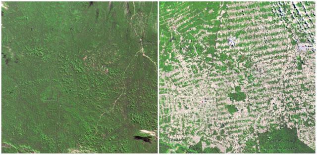 Amazones mežus bieži mēdz... Autors: theFOUR 10 pierādījumi tam, ka tuvojas pasaules gals.