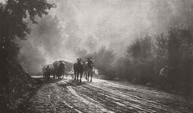  Autors: Lestets Fotogrāfija kā glezna - Leonarda Missone sapņainās ainavas