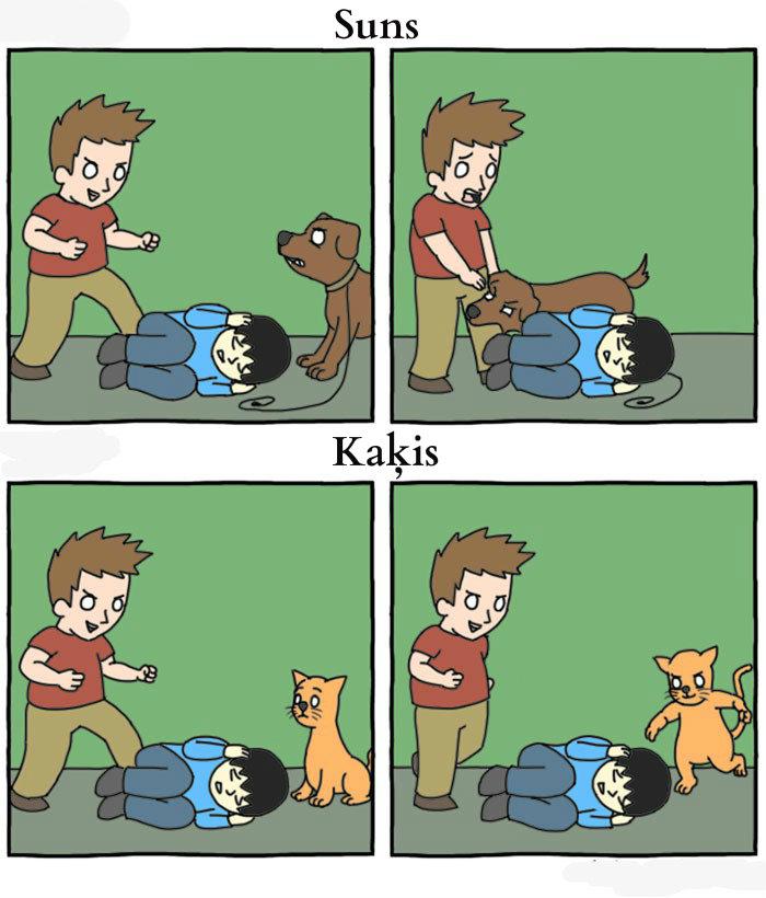  Autors: slepkavnieciskais Jautras atšķirības starp kaķiem un suņiem.