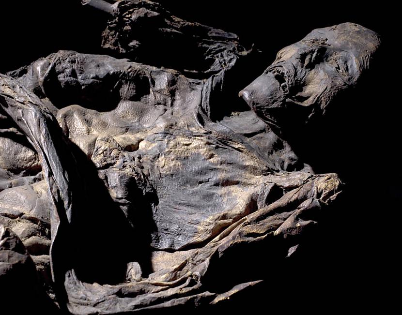Huldremoses sieviete dzīvoja... Autors: Lestets Purva līķi - dabas radītas mūmijas