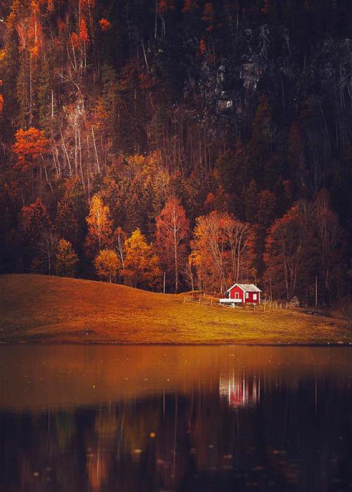  Autors: Fosilija Autumn #12