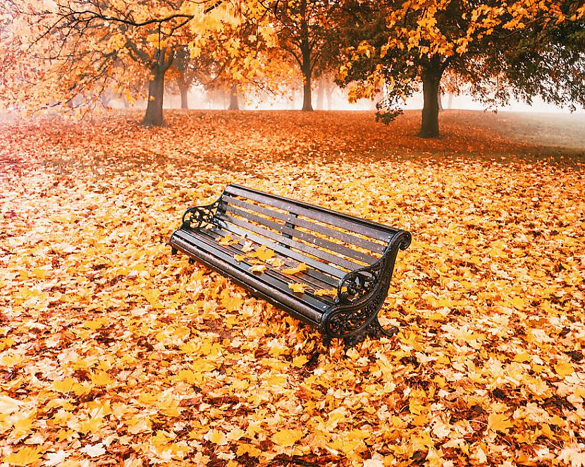 Londona Autors: Fosilija Kā rudens izskatās apkārt pasaulei.