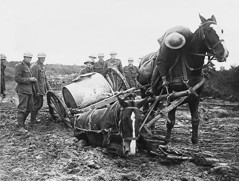 Zirgs iestrēdzis Ipras dubļos Autors: The wTTF Pirmais pasaules karš - 1