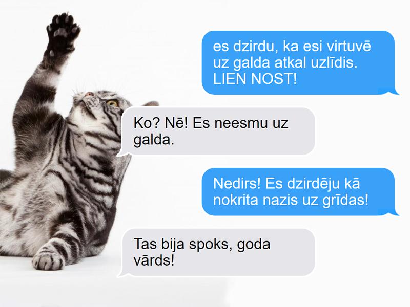  Autors: matilde 10 SMS, kuras Tu saņemtu no kaķa, ja viņi prastu tās rakstīt!