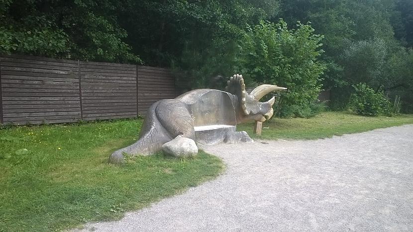 Daži triceratopssoliņi zviega Autors: MEAA...W Dinozauru parks, Lietuva.