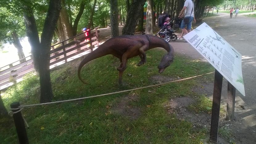 Šis gan tāds zaķpastala Autors: MEAA...W Dinozauru parks, Lietuva.