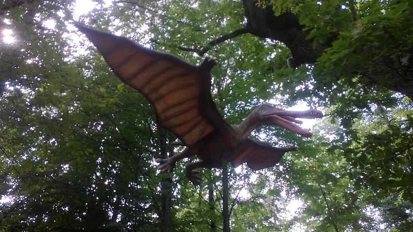 Putnu vietā šis Autors: MEAA...W Dinozauru parks, Lietuva.