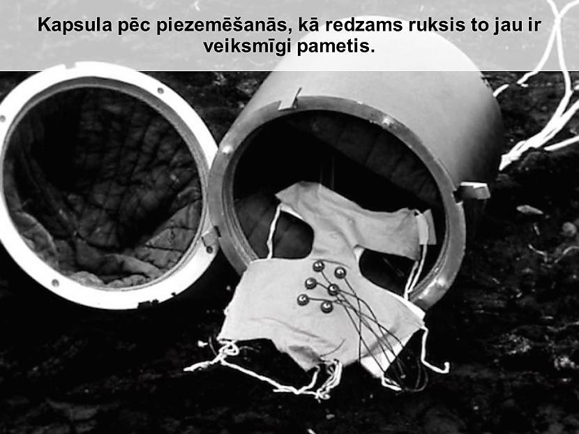  Autors: Mao Meow Pirmā krievu cūka kosmosā!