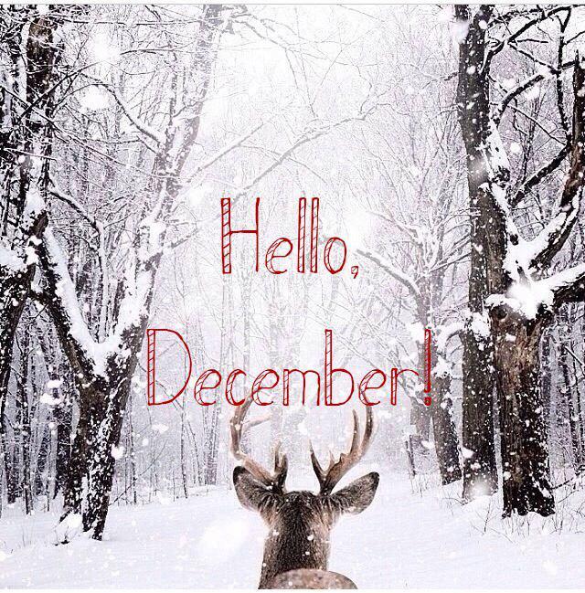 Autors: ALISDZONS #56 hello, December!!!