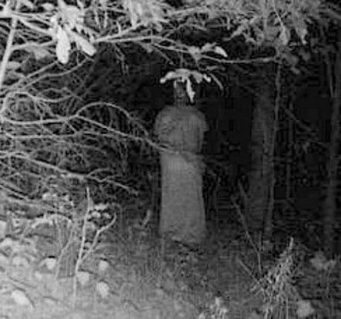 Kas tas ir Autors: evija35.spoki 14 baisākie kadri no nakts redzamības medību kamerām