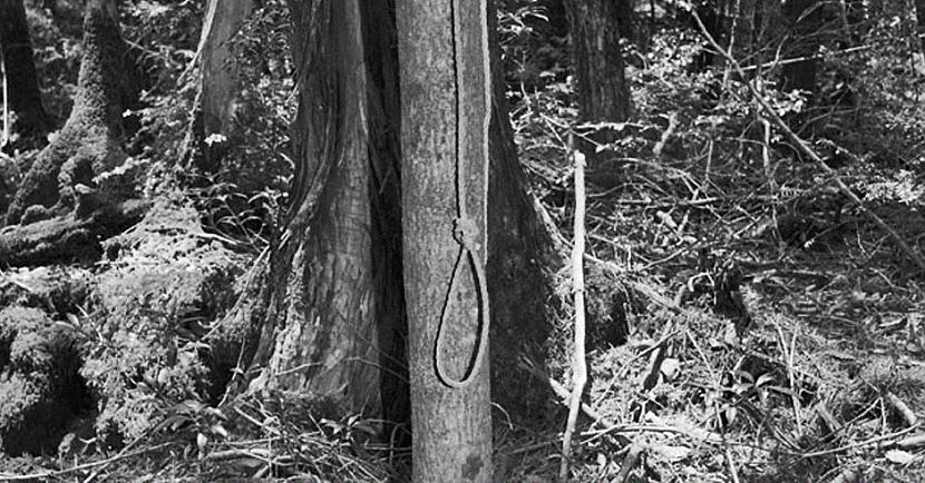1 AOKIGAHARA... Autors: matilde 6 fakti par Japānas «Pašnāvību mežu»