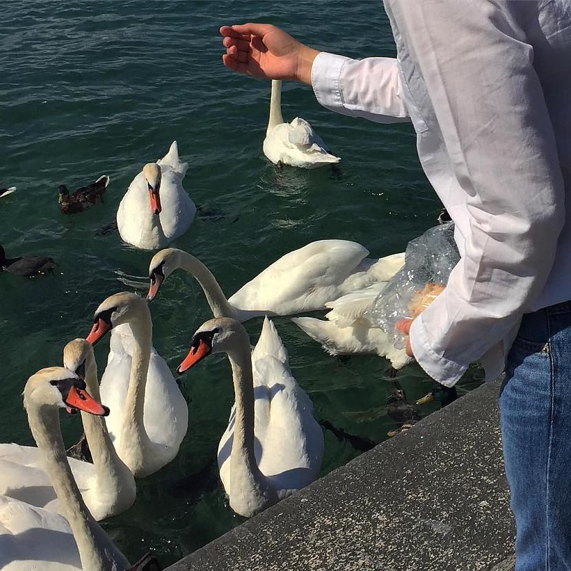  Autors: ALISDZONS Labrīt, Pirmdiena!!!