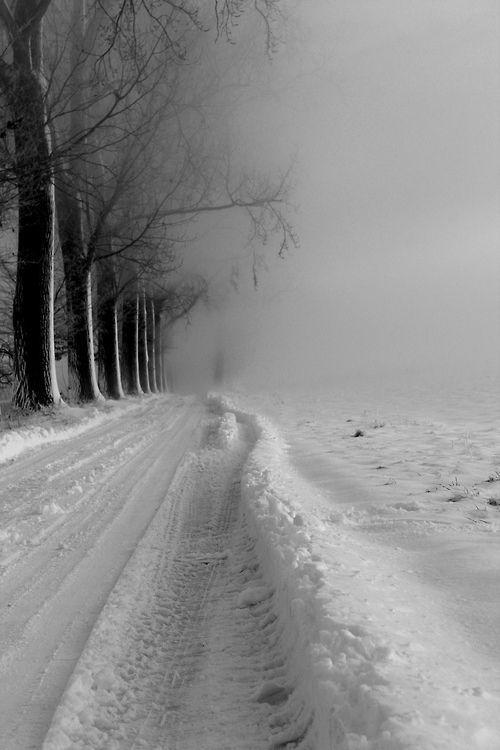  Autors: Fosilija Winter #15