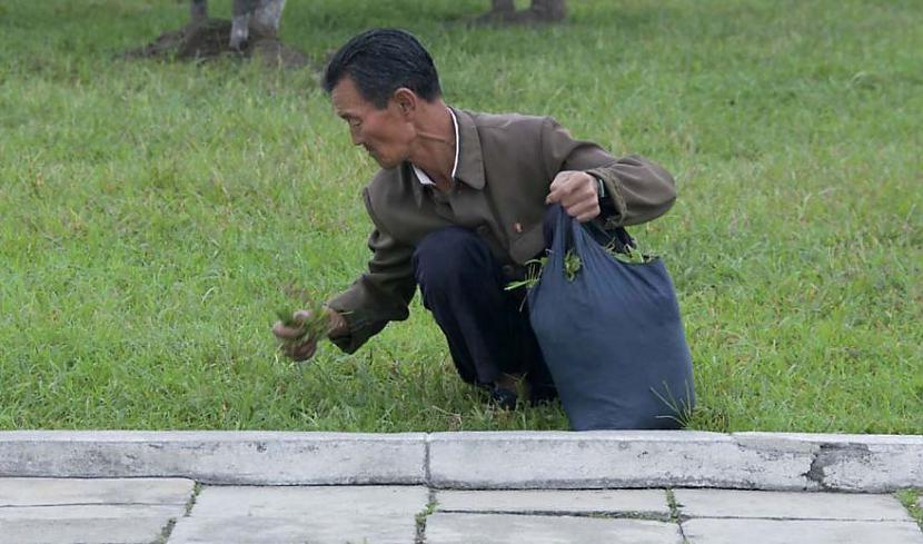 Eric Lafforgue Autors: matilde 50 fotogrāfijas no Ziemeļkorejas, kuras Kims Čonins negrib, lai Tu redzi!