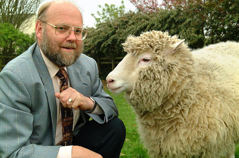 Dollijanbsp1996 nbsp2003 aita... Autors: Dindinja Pirmais klonētais zīdītājs - aita Dollija