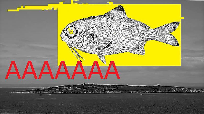  Autors: Seeh Kā zivis uz āķa (Mūsu salas - zudušas dzelmē 2)