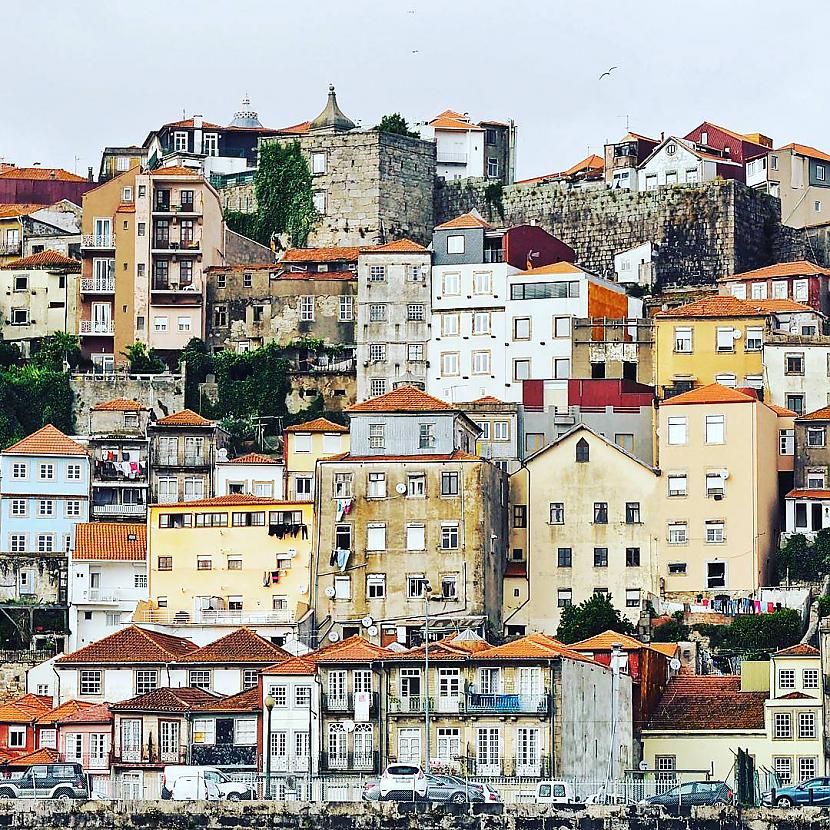  Autors: ALISDZONS Porto, Portugal