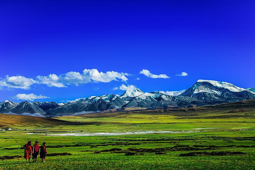 Foto PixabayReta gēna kas... Autors: Lestets Gēnu variācija, kas ļauj tibetiešiem dzīvot augstkalnē