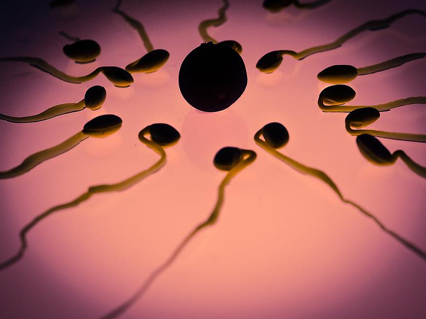 Foto PixabayPlānotais Mikro11... Autors: Lestets Kosmosā ir sperma un tā pieder NASA
