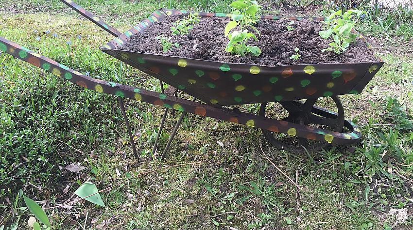 Vairākas idejas, kā, dodot lietām otro mūžu, padarīt savu pagalmu košāku