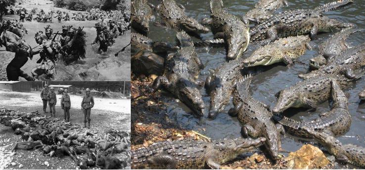 Ramrī sala Krokodili Tālāk... Autors: Testu vecis Biedējošas salas, kas tevi nogalinās