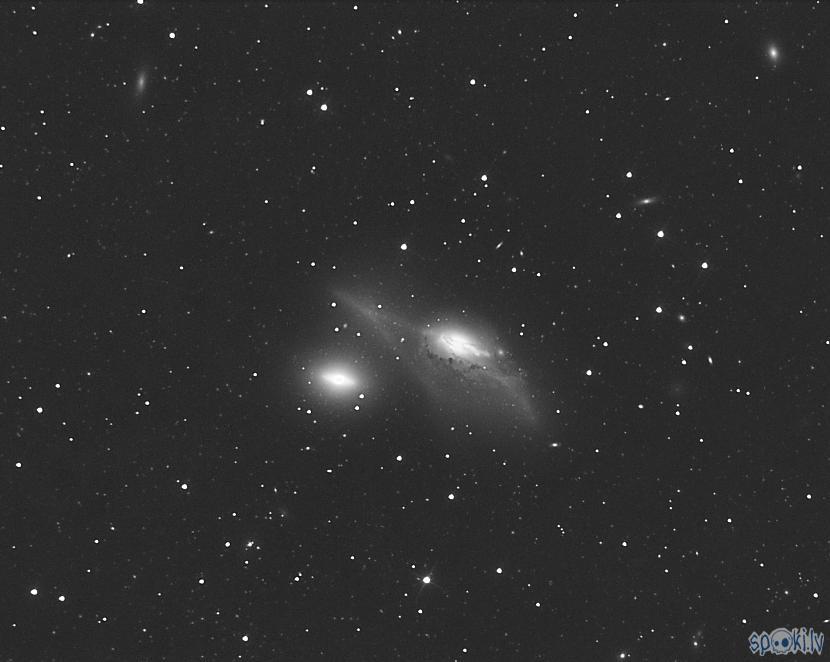 NGC 4438ekspozīcijas laiks... Autors: peleks Astrofotografēšana