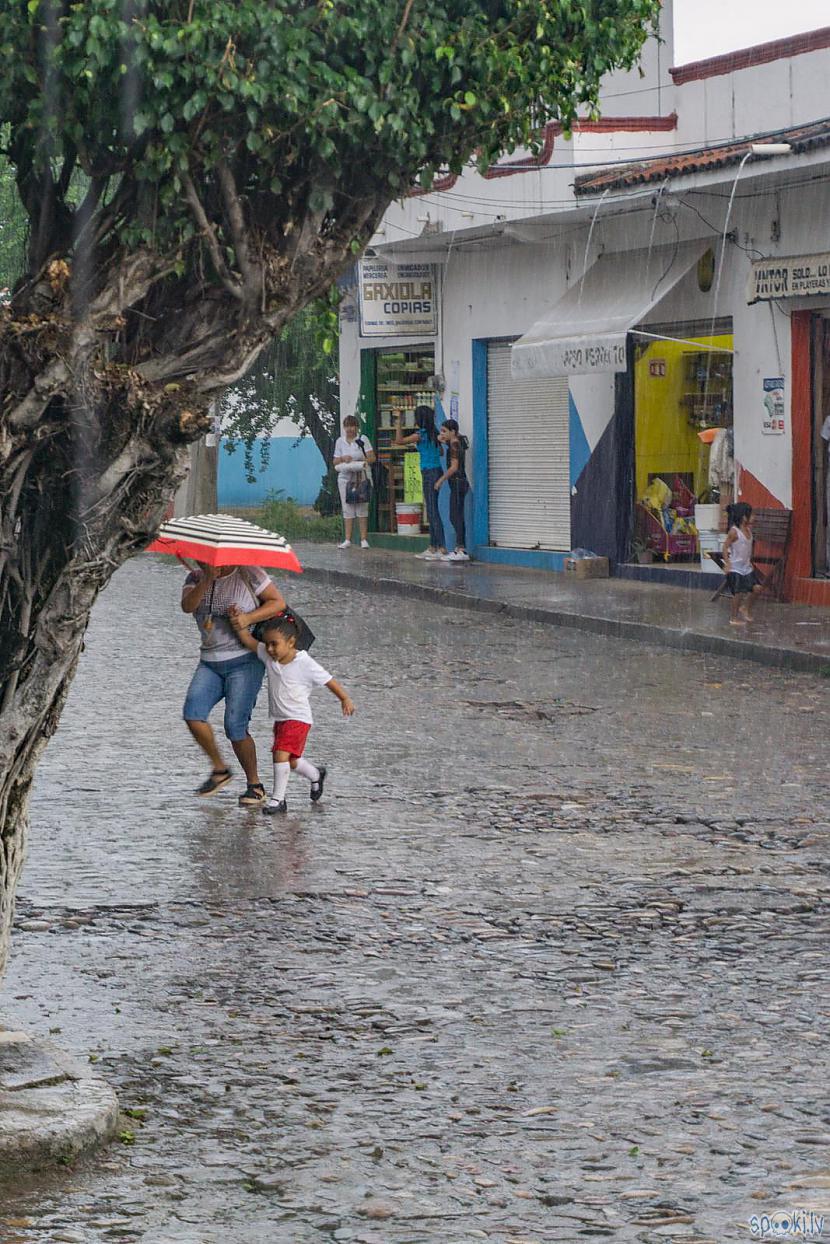  Autors: Alex Vikingo Meksikā sākusies lietus sezona